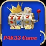 Pak 33 Game